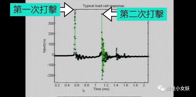 非常好吃的皮皮虾你们吃过吗,超大的皮皮虾带给大家认识一下