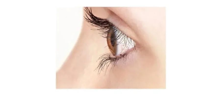 眼睛内眦位置长睫毛正常吗,眼眦和眼睑的区别
