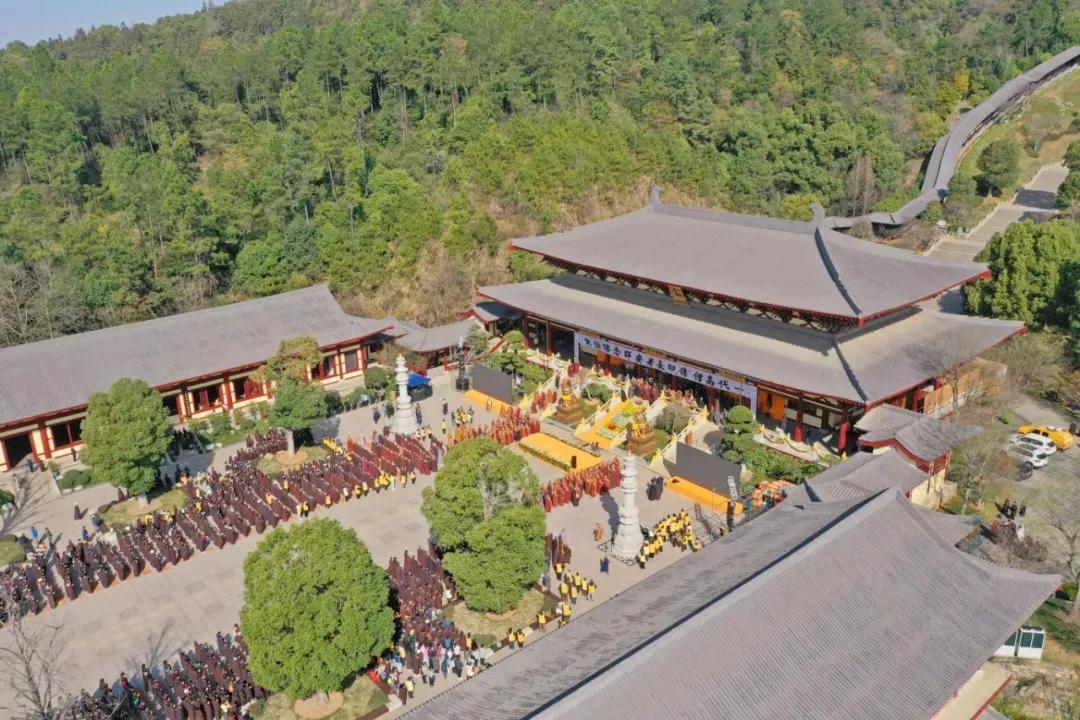 印能法师超长版南无阿弥陀佛,阿弥陀佛传印