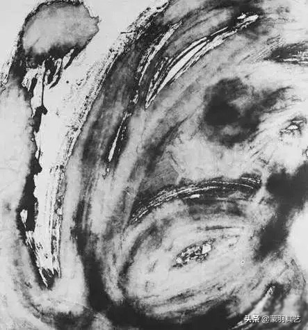 射墨大师邵岩射墨视频,射墨大师邵岩原版