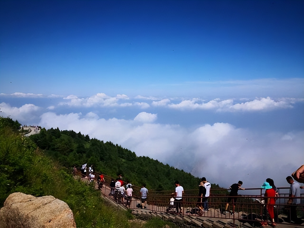 端午都有哪些别称,端午节的别称分别是哪几个