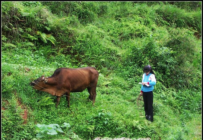 在深圳租一套二手房多少钱,本人在深圳买二手房