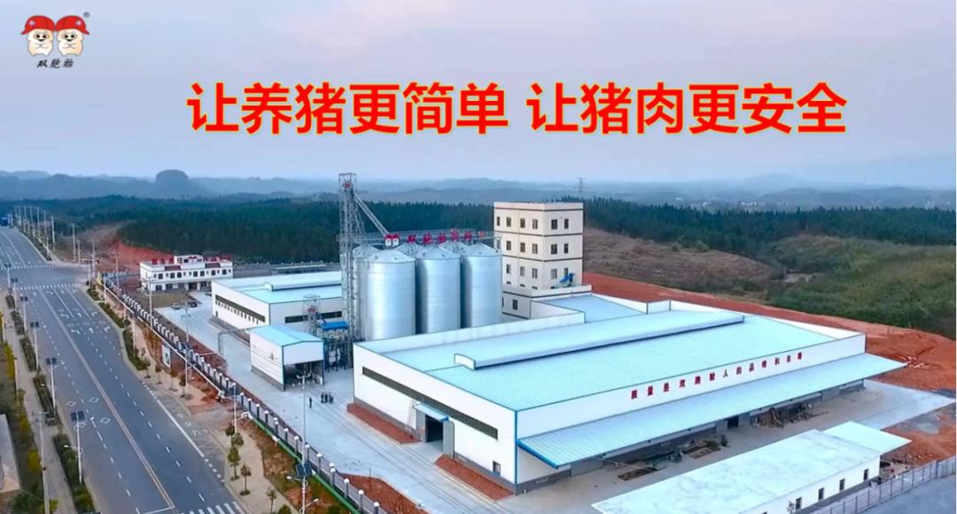 2022品牌价值排行榜区域品牌,2022十大家具品牌