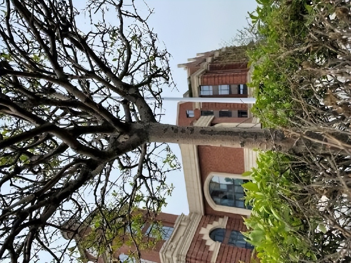 12月份园林绿化养护工作重点,元月份园林养护重点工作