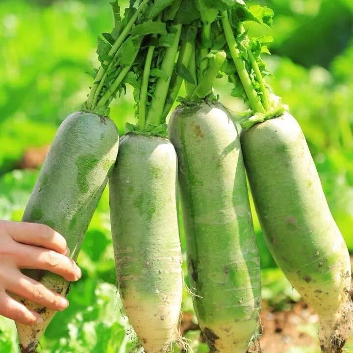 天津人爱吃的100种美食 (外地人不敢尝试的天津美食)