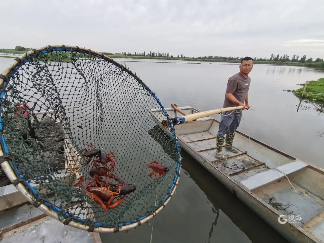 莱西小龙虾哪家好吃,莱西小龙虾热门排行榜