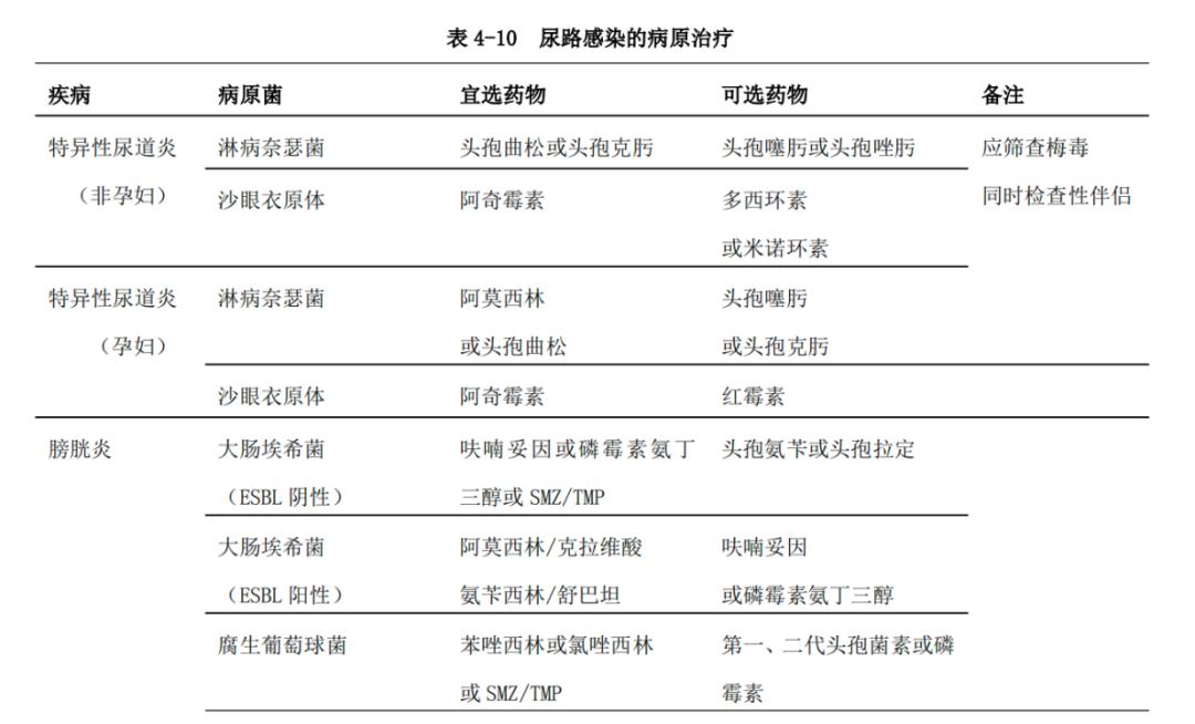 必看！泌尿道感染用药全解读