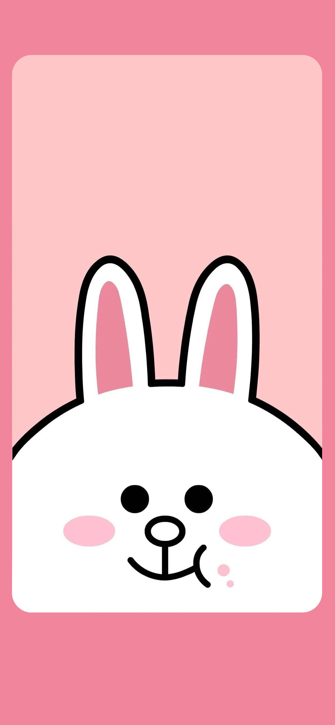 布朗熊和可妮兔壁纸,可妮兔布朗熊两个的手机壁纸