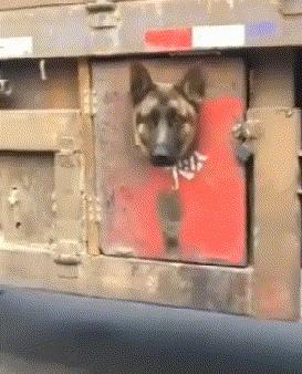 女朋友平胸是什么心理,女朋友是平胸怎么形容