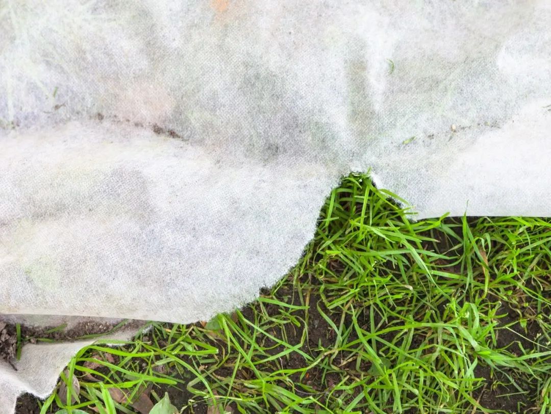 外卖无纺布塑料袋,无纺布外卖袋可降解吗