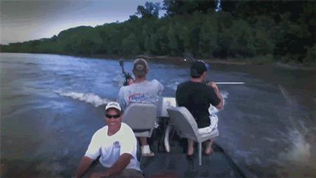 悬赏五百万抓鲤鱼,悬赏20万抓鱼