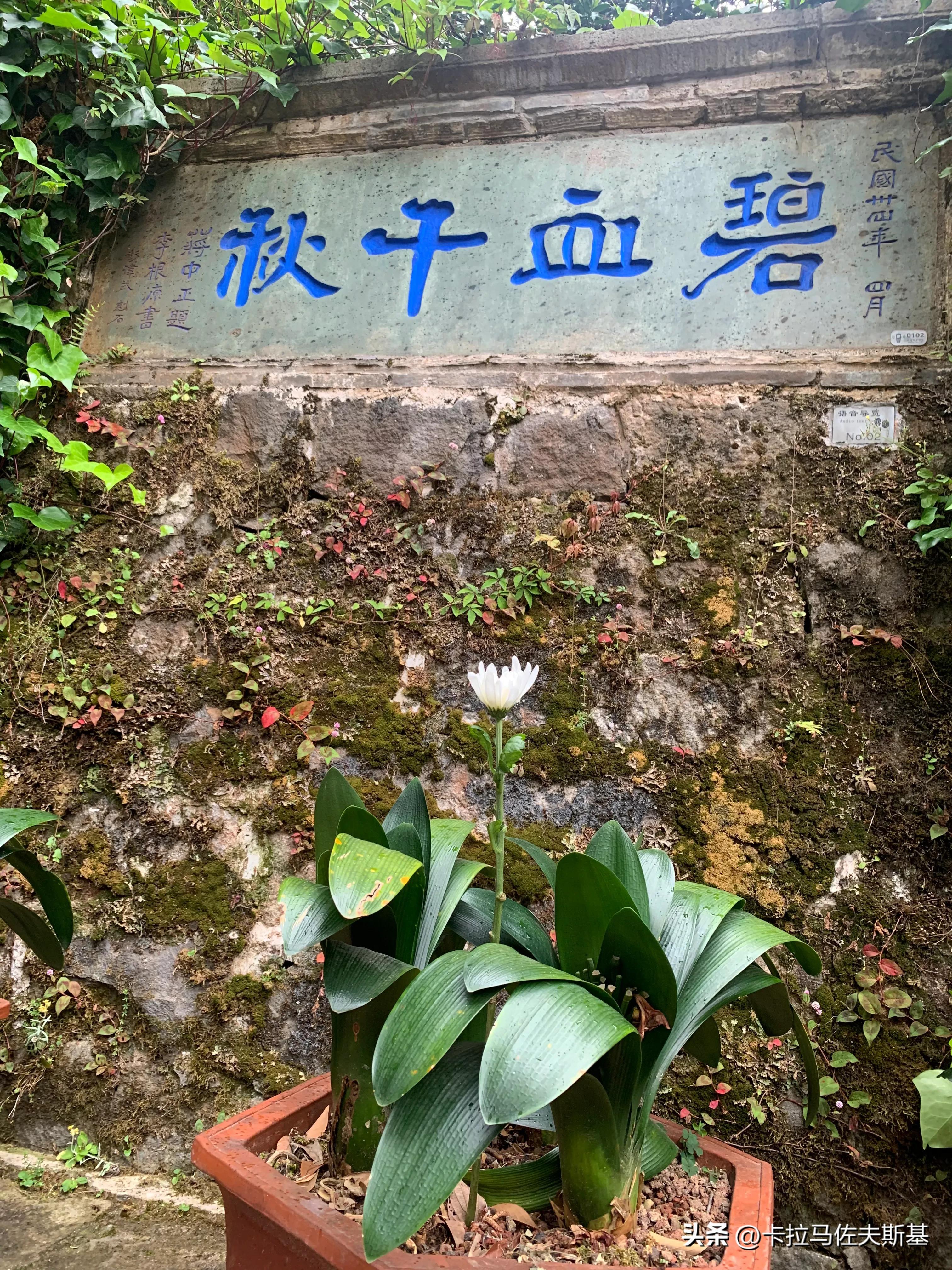 为什么要去云南腾冲芒市瑞丽旅游,芒市瑞丽腾冲旅游五一