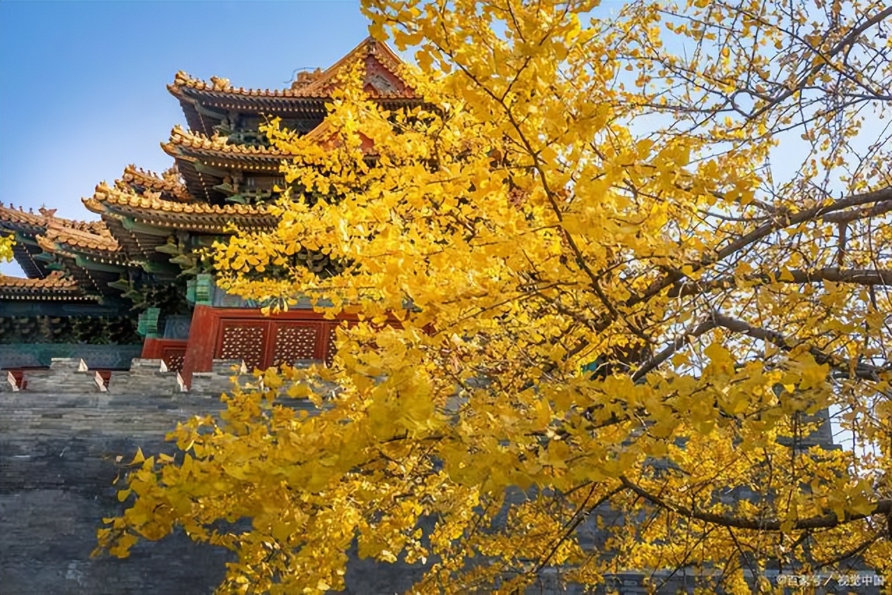 早上发朋友圈励志有正能量的句子,正能量发朋友圈的句子经典励志