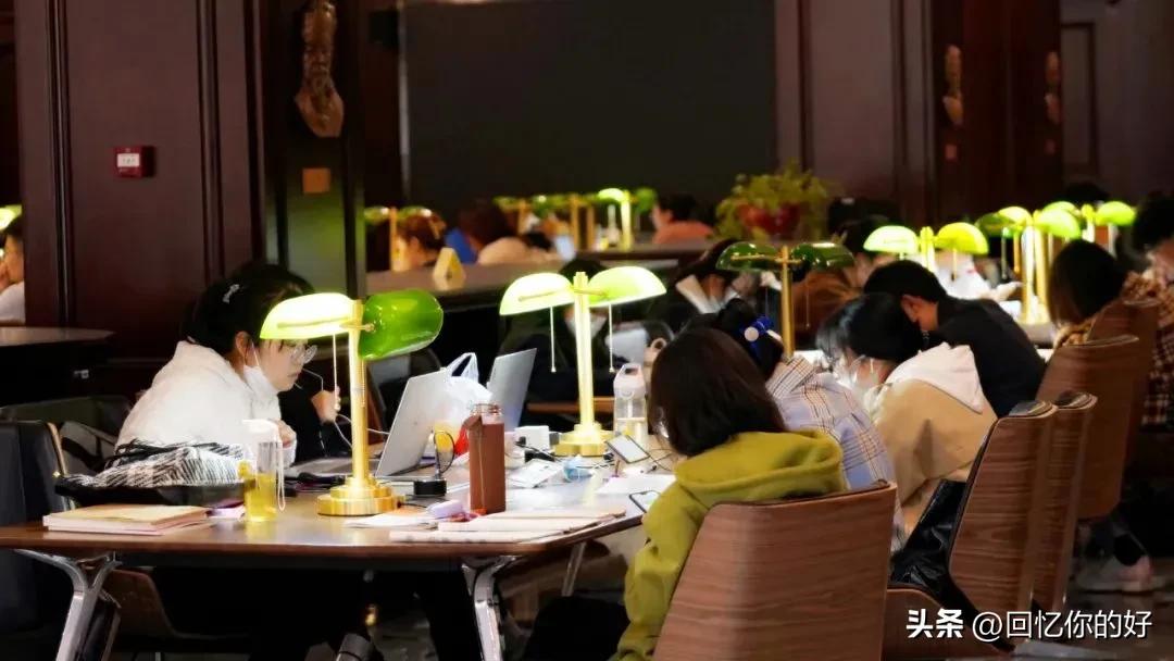 三百多分的学生适合学什么专业,三百多分能上什么外语学院