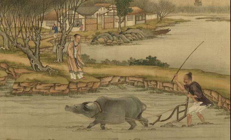 明明同样是牛，为啥古代中国人用来耕作，欧洲人却做成了牛扒？
