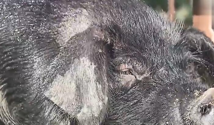 农村老汉嗜酒,农村大哥嗜酒如命