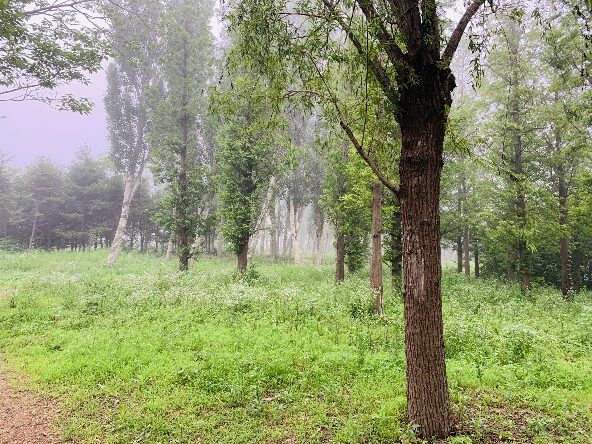 卡西欧手表测评中国龙白,卡西欧独角兽系列的手表测评