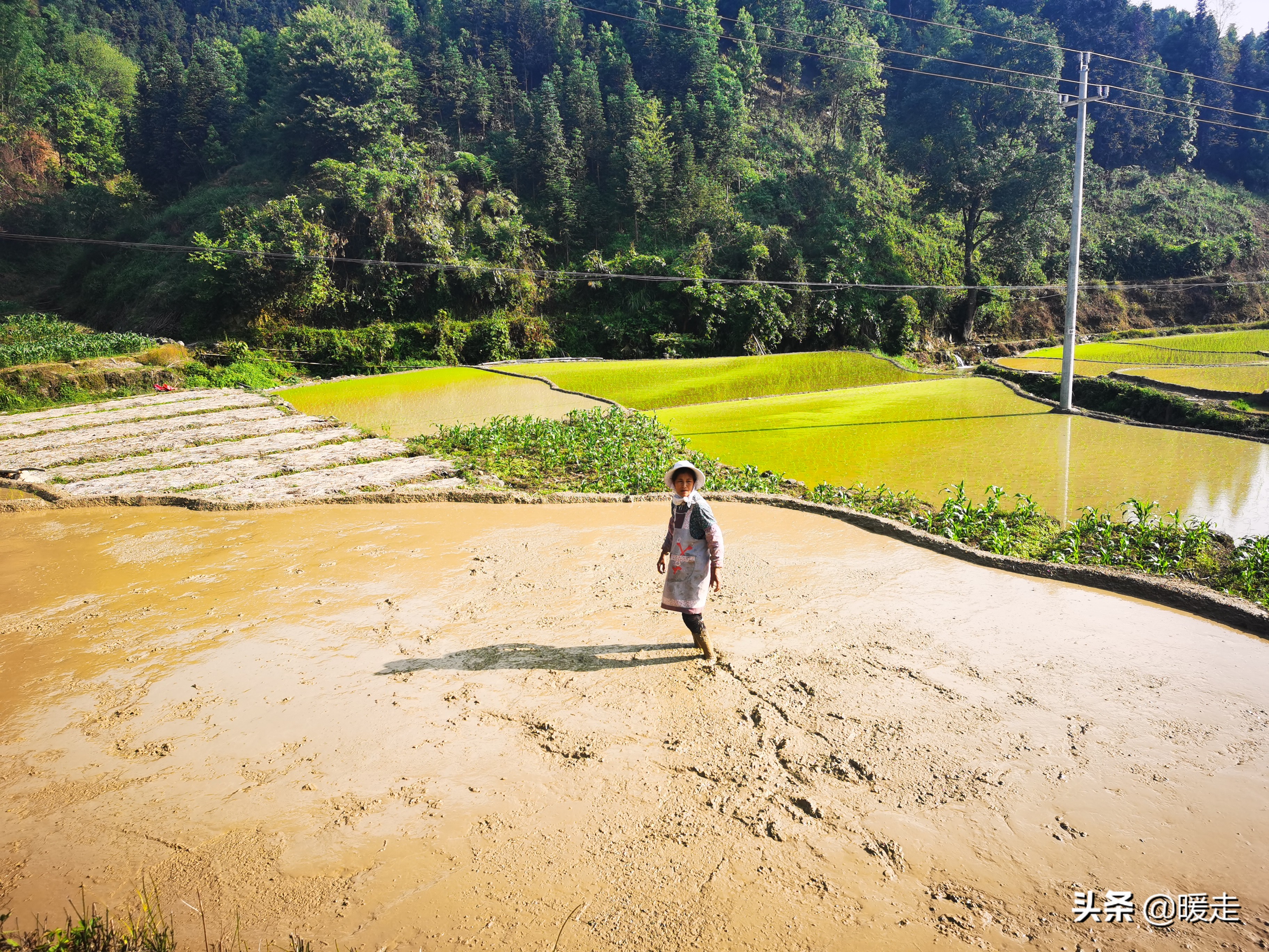 广西农民种田,乡村种田的生活视频