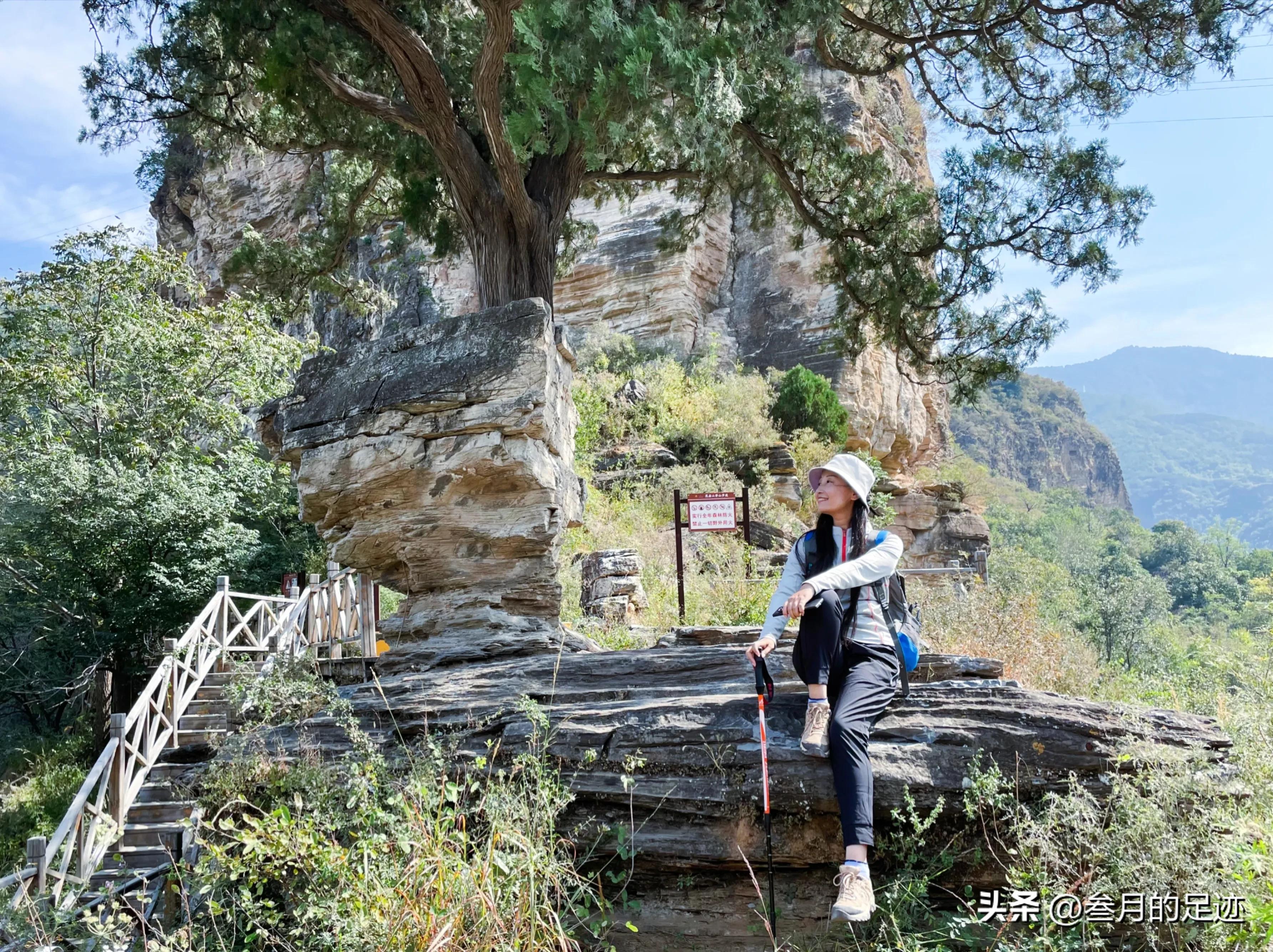 房山红叶最佳地点木栈道,北京房山森林游玩地方推荐