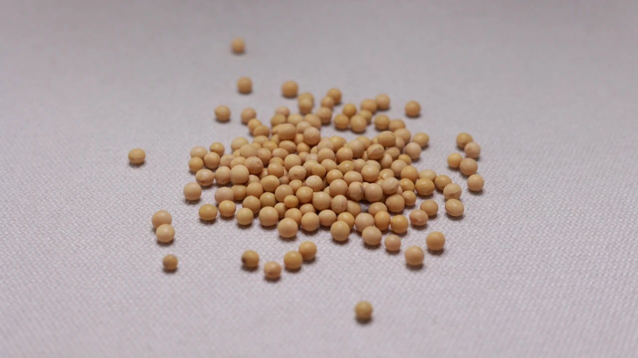 怎么补钙比较快4种食物不能少,补钙吃药品otc的好还是保健品的好