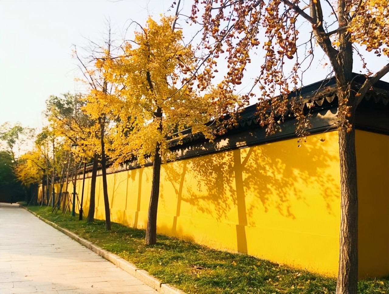 苏州秋季旅游最值得去的地方,苏州赏秋一日游攻略