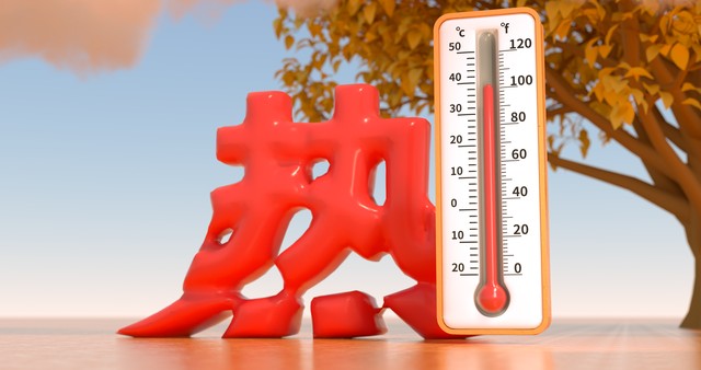 生命力强的昆虫宠物有哪些,常见昆虫宠物有哪些