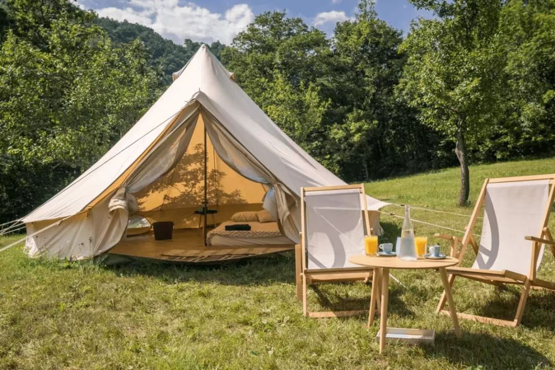 养孔雀主要靠什么赚钱,在农村养孔雀挣钱吗投资多少