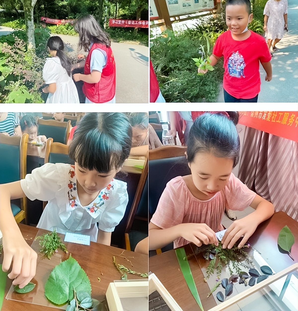 自然笔记植物标本,植物标本创意作品