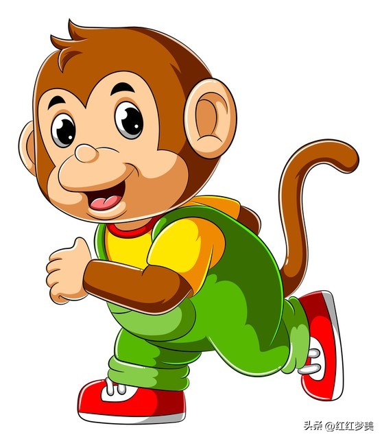 属猴的人对什么事最关心,属猴一生的敌人是谁