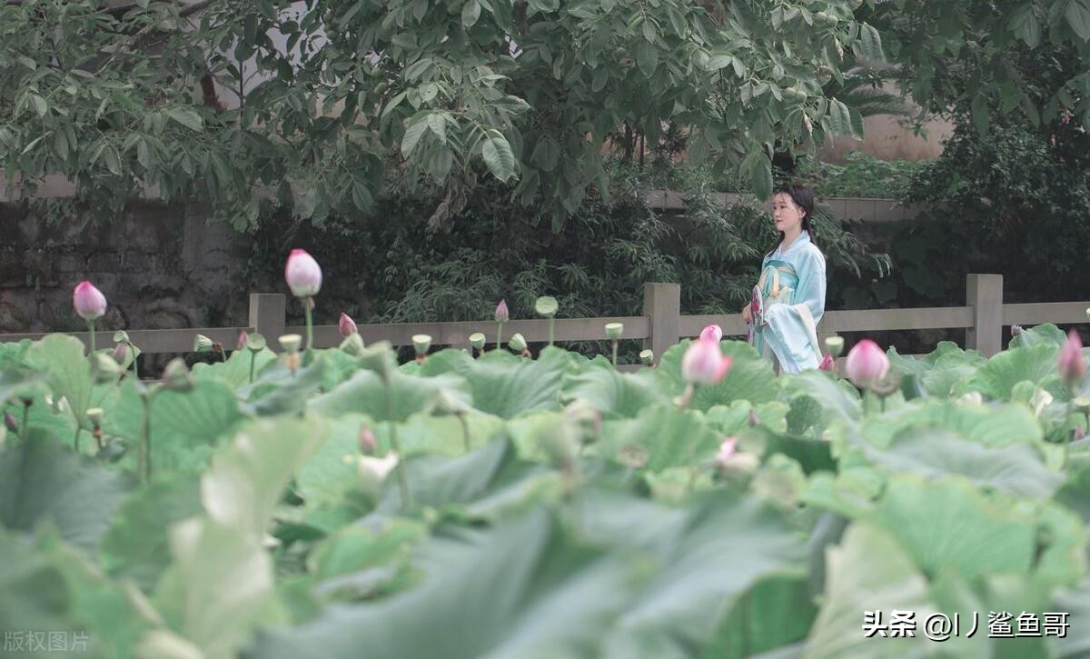 河北保定市内旅游景点大全,保定市红色旅游景点有哪些