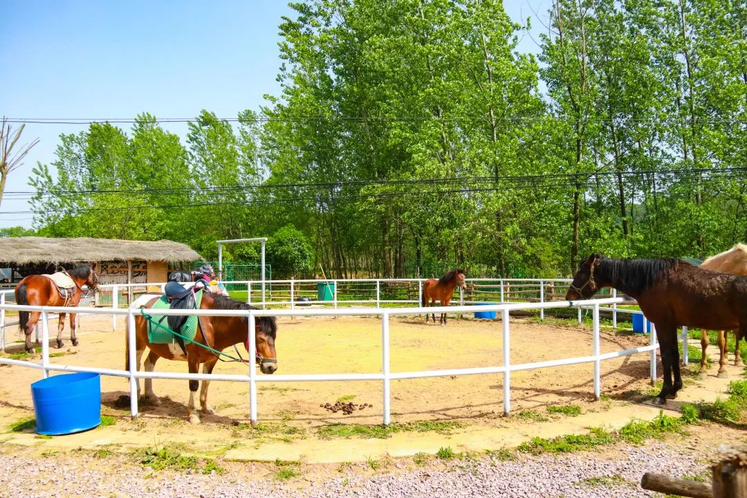 孩子们的快乐星球！周末带娃，肥西这些地方就够啦！