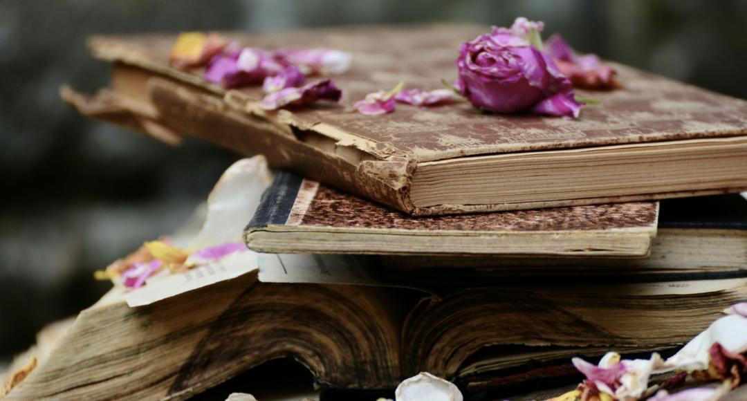 从不敢说话到勇敢表达,当众演讲有困难该怎么做