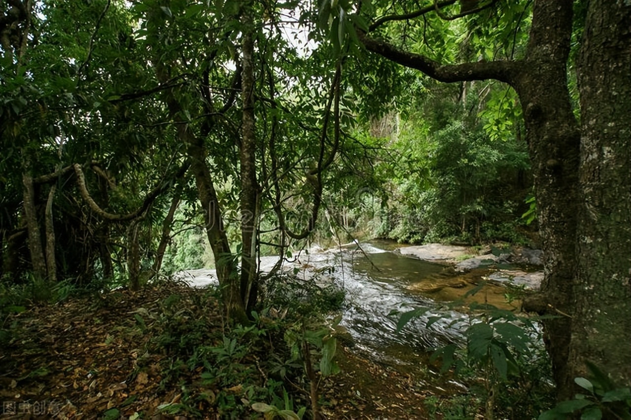 宁波周边踏青古村,去过浙江才知道江南