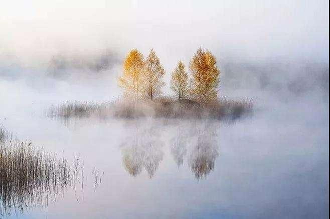 励志古诗句充满正能量的诗句,正能量的励志古诗词大全集