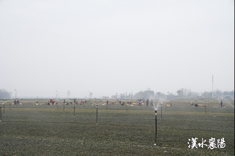 一个乡镇投资10个亿的项目,乡镇投资3个亿的项目