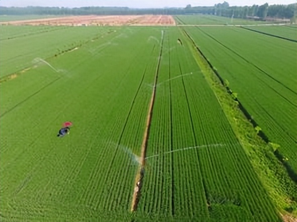 农业生态补偿意义,生态补偿促进农业产业化