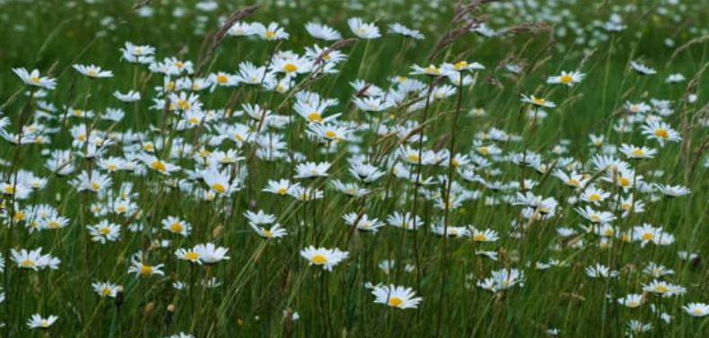 跨部门沟通协作障碍原因,跨部门沟通的障碍视频