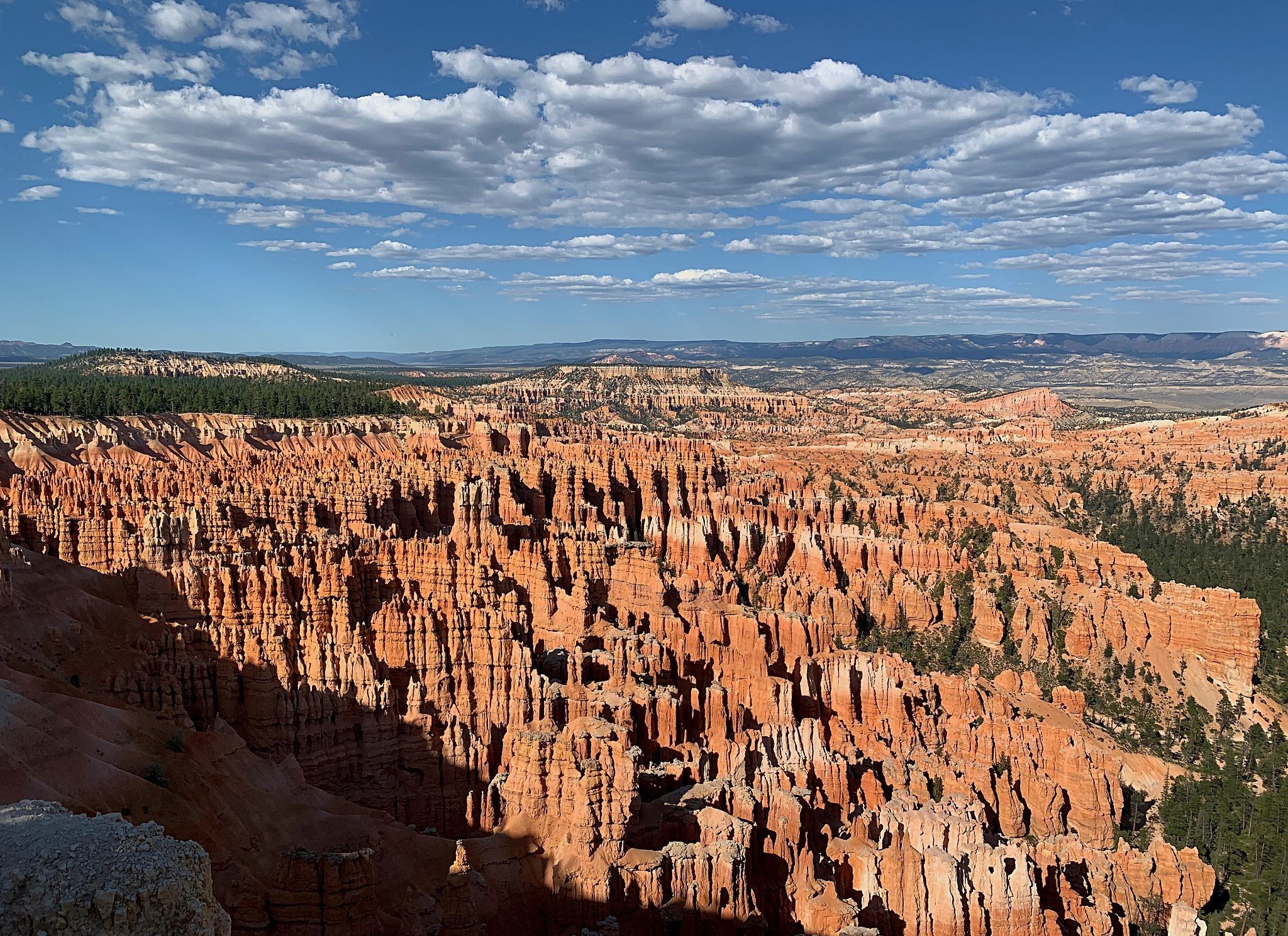 回顾今年暑期各大热门旅游胜地,南洋夏令营素质拓展基地