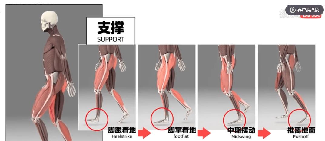 鞋带总散开是什么意思,鞋带总是散开应该怎样系