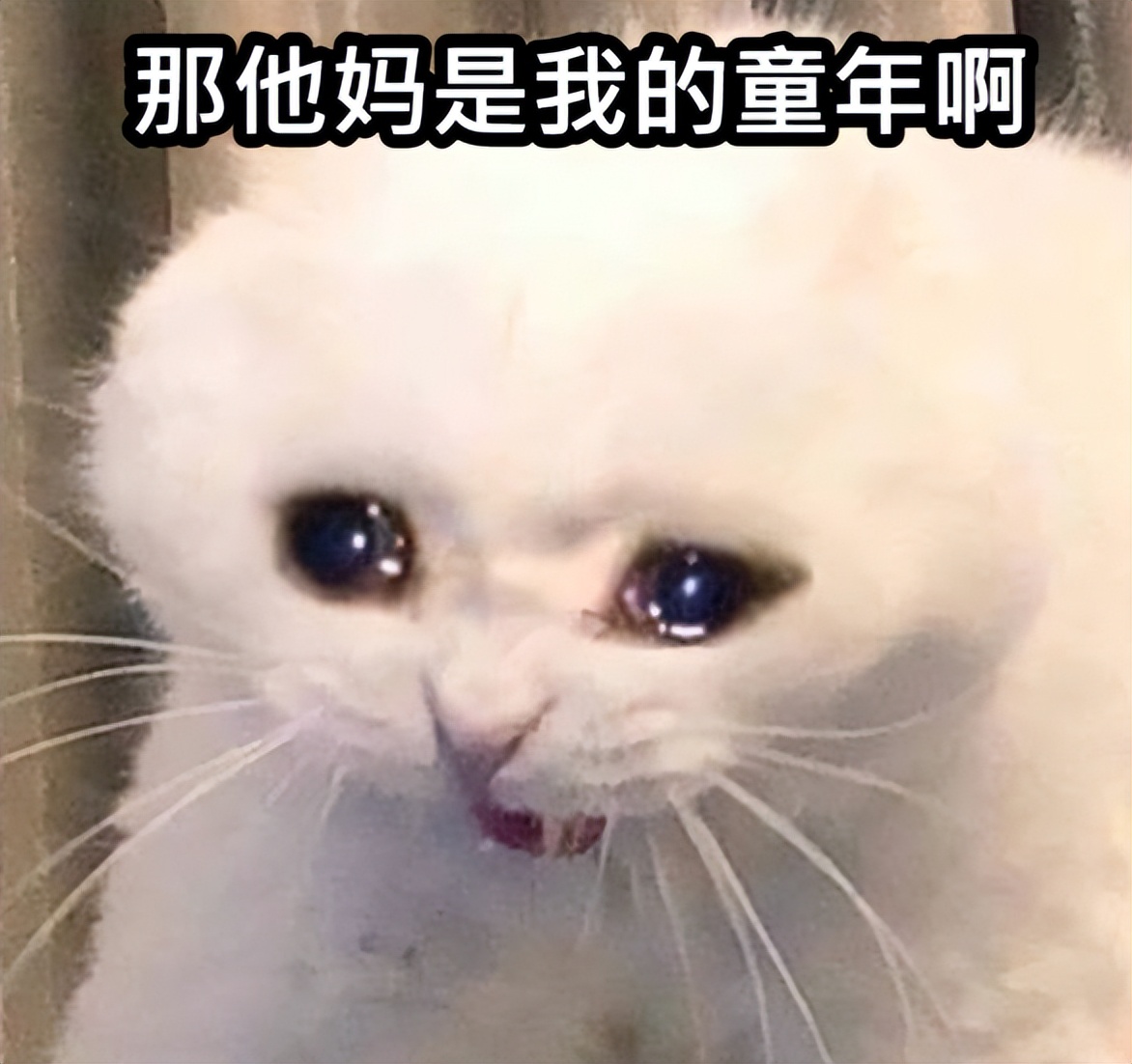 17年没玩qq堂停服,qq堂宣布将停服qq还运行吗