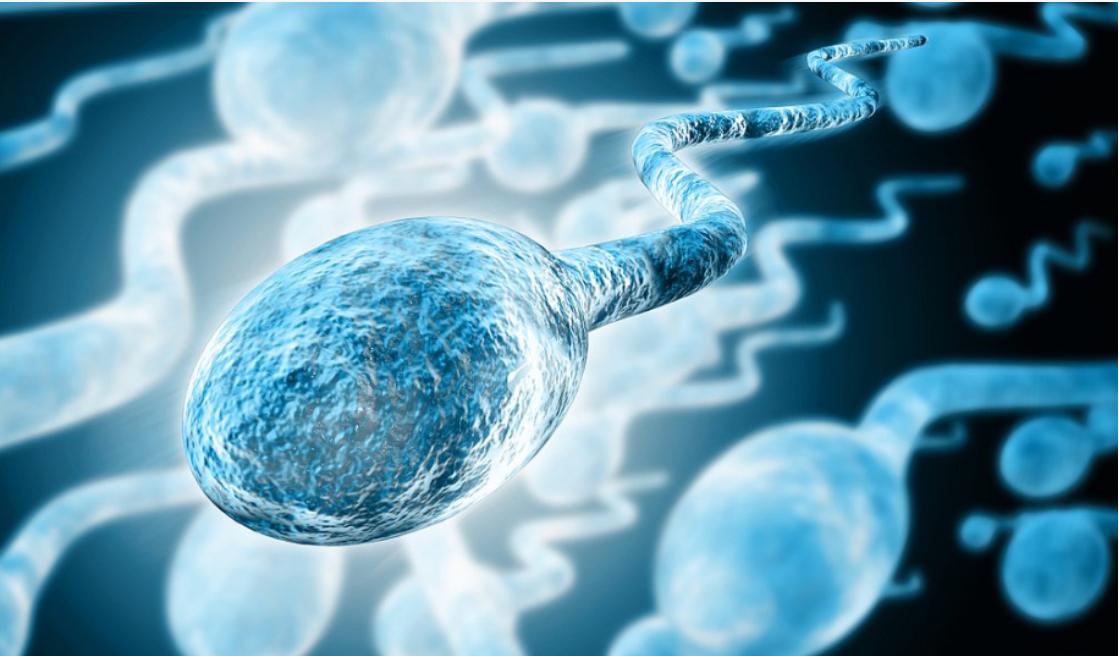 男性长期没“排精”，身体或许会出现这几种变化，早知早受益！