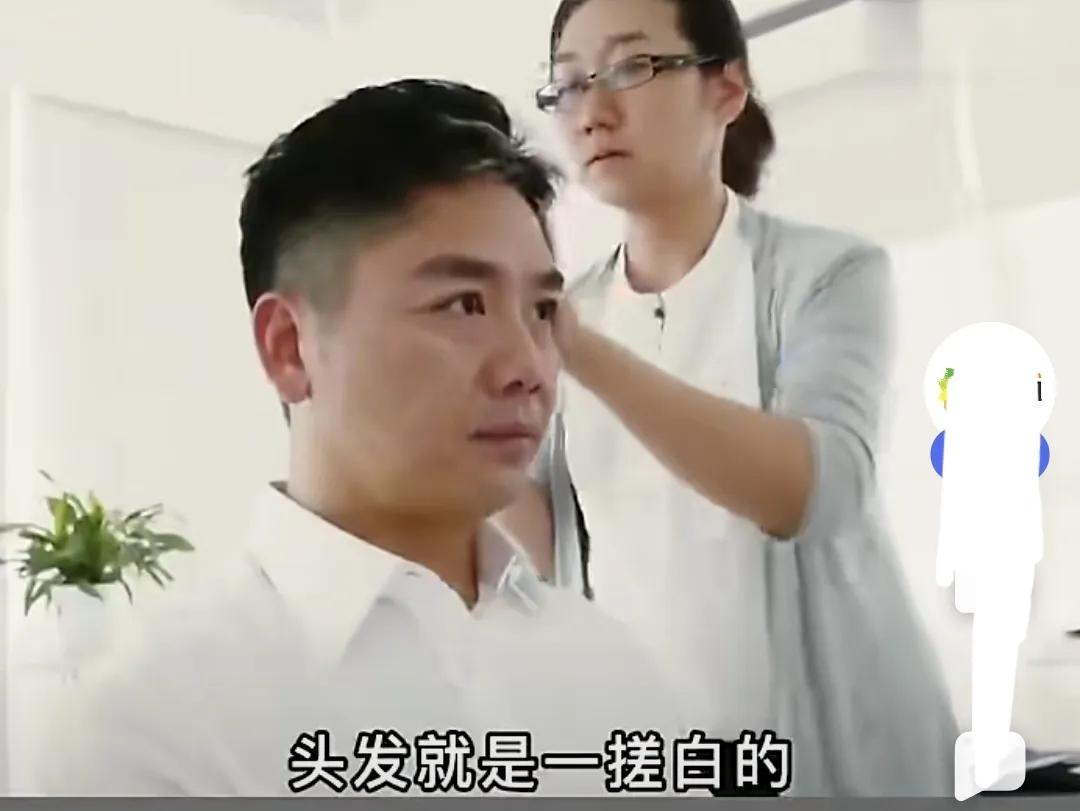 京东营收什么时候破万亿,京东唯一一家营收超万亿