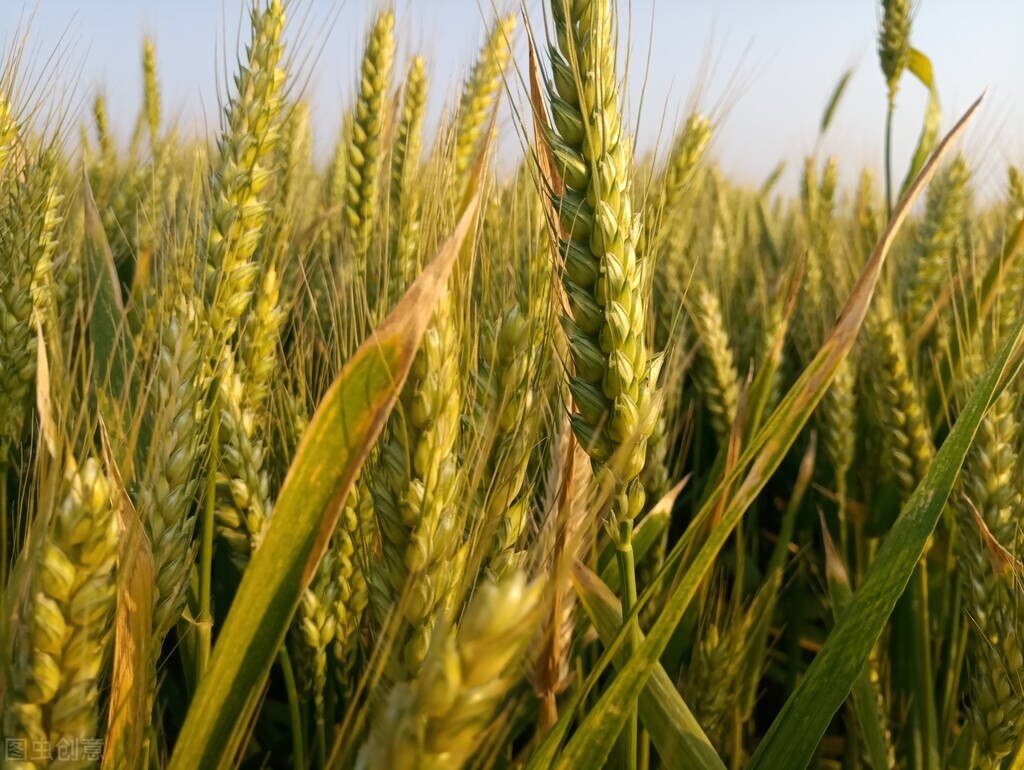 未来五年你会买什么股票,理财日记推荐