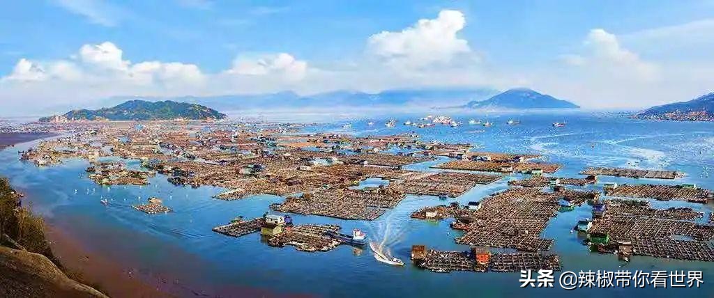 宁德大黄鱼之乡攻略,霞浦大黄鱼之乡图片