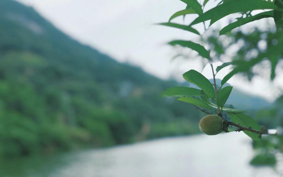 木兰风光好去处•达人带你去旅游|山环水绕清流如带——张洋村，一个藏在新县里的小村庄