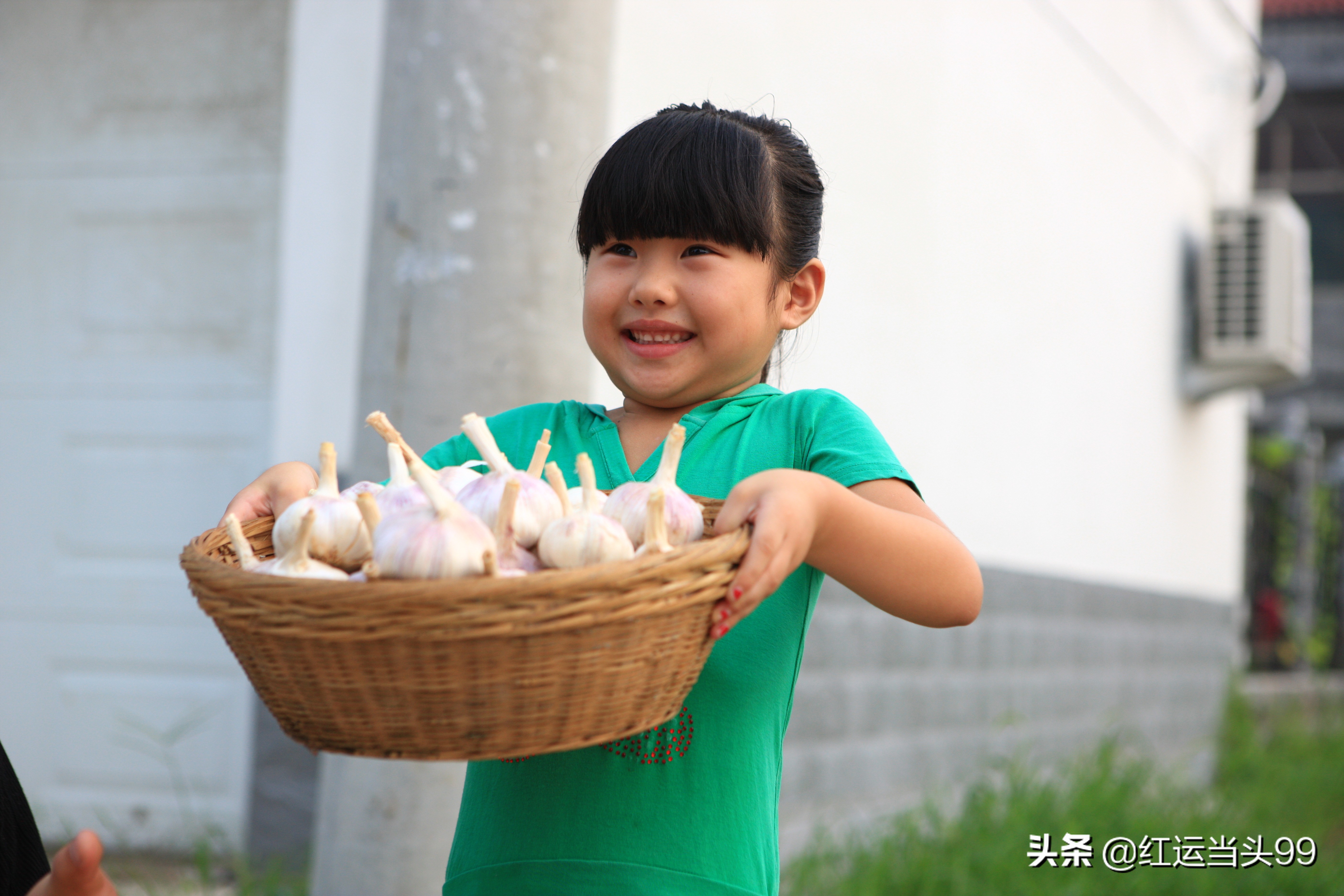 大蒜最早在哪个国家种植,大蒜全世界都有吗