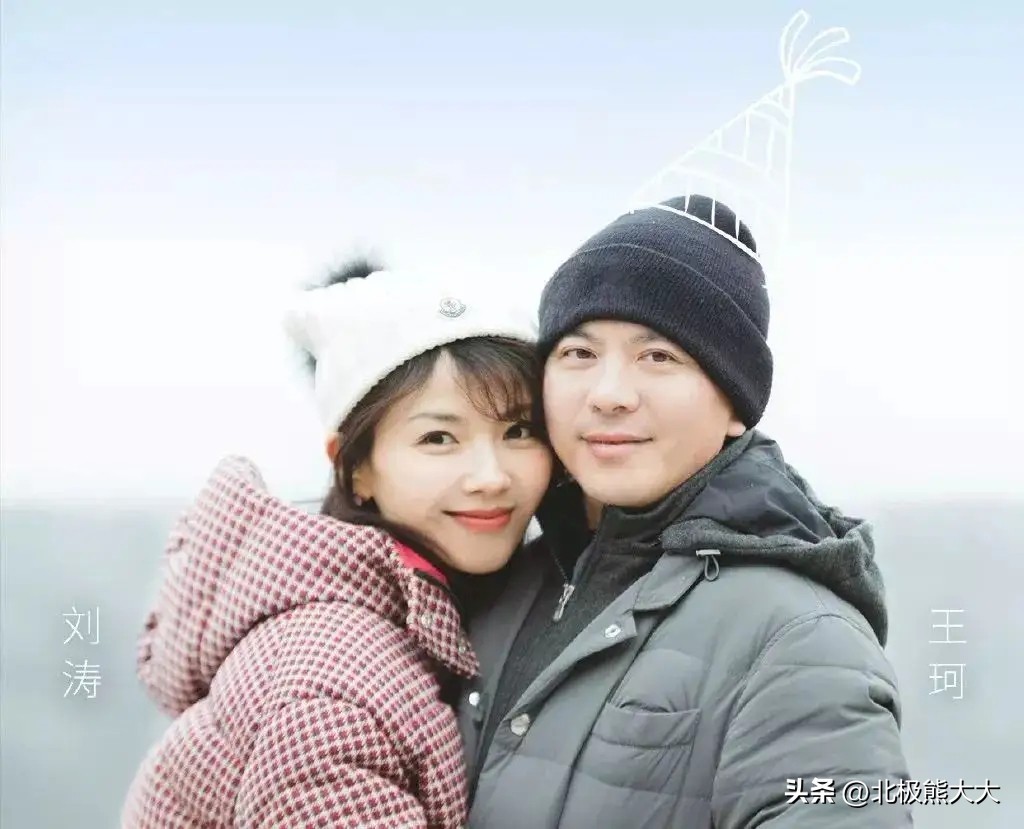 从贤妻到女强人刘涛都经历了什么,贤妻刘涛的情感往事