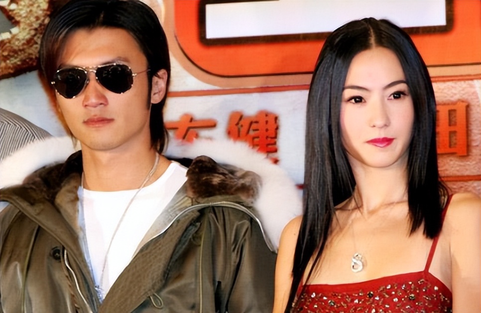 谢霆锋为什么如此喜欢王菲,谢霆锋为何喜欢王菲这么多年