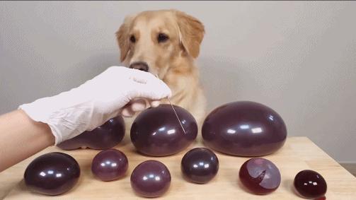 六百万网红想洗白反被封，他哭了狗笑了？网友：他活该