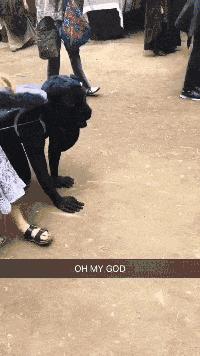 姑娘这么可爱竟然当保安，大叔都忍不住多看两眼，太屈才了: